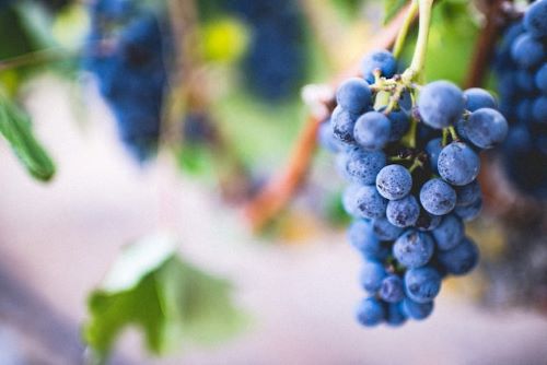 Rosé kan gemaakt worden van blauwe druiven, vaak in combinatie met een witte druif. 